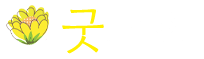 보험 랜딩페이지